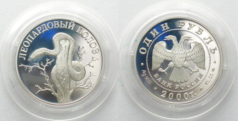 RUSSIA. 1 Rouble 2000, Leopard Runner, silver, Proof
Y# 720, Slightly toned. RU...