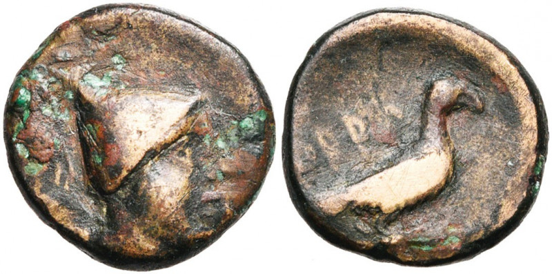 CALABRE, ORRA, AE bronze, vers 250-225 av. J.-C. D/ T. masculine à d., coiffée d...