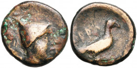 CALABRE, ORRA, AE bronze, vers 250-225 av. J.-C. D/ T. masculine à d., coiffée d''un casque pointu. R/ Aigle à d. A g., le long du corps, ORRA. SNG AN...