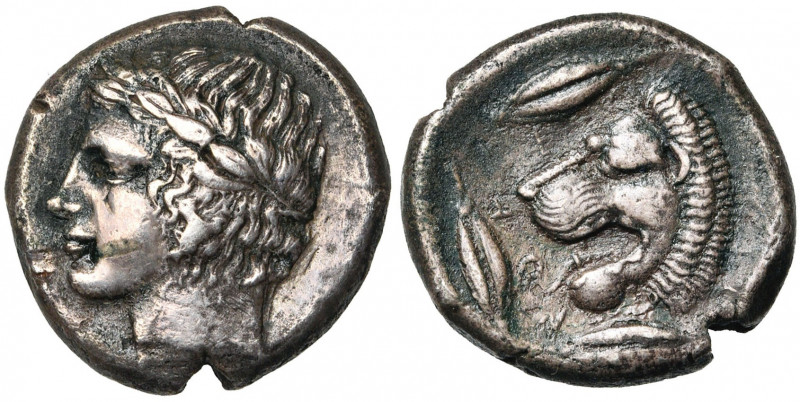 SICILE, LEONTINOI, AR tétradrachme, vers 425 av. J.-C. D/ T. l. d''Apollon à g. ...