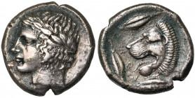 SICILE, LEONTINOI, AR tétradrachme, vers 425 av. J.-C. D/ T. l. d''Apollon à g. R/ ΛEON-TI-NON T. de lion à g., entourée de trois grains de blé et d''...