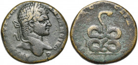 THRACE, PAUTALIA, Caracalla Auguste (198-217), AE bronze. D/ AYT K M AYR CEY ANTΩNEINOC T. l. à d., légèrement barbue. R/ OYΛΠIAC ΠAYTAΛIAC Serpent en...