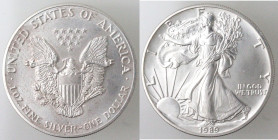 USA. Dollaro 1989. Oncia. Ag.