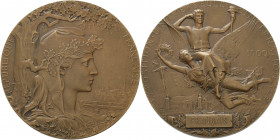 Ausstellungen
 Bronzemedaille 1900 (J.C. Chaplain) Preismedaille der Weltausstellung in Paris. Kopf der Marianne unter Eichenbaum nach rechts, im Hin...