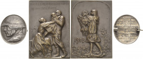 Erster Weltkrieg
 Silbermedaille 1918 (Hans Frei) Schweizer Nationalspende für unsere Soldaten und ihre Familien 1918. Mit Silberpunze 800. Dazu Bron...