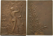 Jugendstil
 Bronzeplakette o.J. (1891) (Alphonse Lechevrel) Hommage aux graveurs. Nackte Frauengestalt schreibt die Namen von Chaplain, Roty und ande...