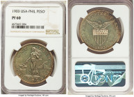 USA Administration Proof Peso 1903 PR60 NGC, Philadelphia mint, KM168. 

HID09801242017

© 2020 Heritage Auctions | All Rights Reserved