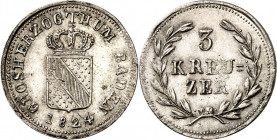 Baden. 
Ludwig 1818-1830. 3 Kreuzer 1824. AKS 62, J. 28. . 

l. Prägeschw.,vz