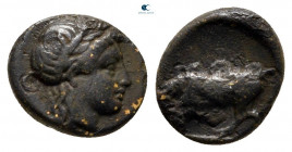 Mysia. Gambrion circa 300-200 BC. Bronze Æ