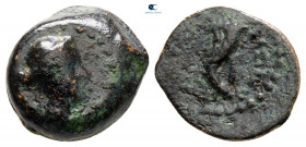 Ptolemaic Kingdom of Egypt. Uncertain mint. Ptolemy VIII Euergetes II (Physkon) 145-116 BC. Bronze Æ