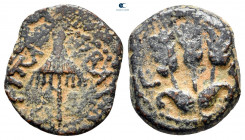 Judaea. Jerusalem. Herodians. Agrippa I AD 37-43. Prutah Æ