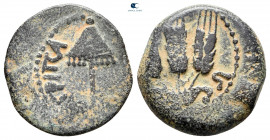 Judaea. Jerusalem. Herodians. Agrippa I AD 37-43. Prutah Æ