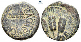 Judaea. Jerusalem. Herodians. Agrippa I AD 37-43. Prutah Æ