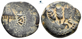 Judaea. Jerusalem. Herodians. Agrippa I AD 37-43. Prutah Æ