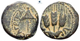 Judaea. Jerusalem. Herodians. Agrippa I AD 37-43. Prutah Æ