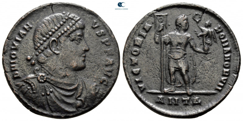 Jovian AD 363-364. Antioch
Double Maiorina Æ

27 mm, 7,99 g



very fine...