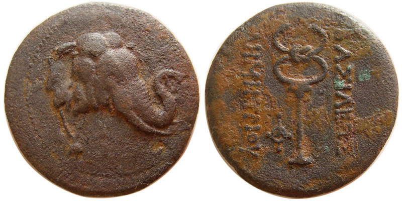 BAKTRIAN KINGDOM. Demetrios I. Circa 200-185 BC. Æ Triple Unit (9.18 gm; 28 mm)....