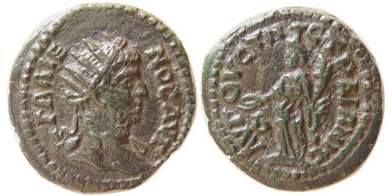 THRACE, Augusta Traiana. Gallienus. AD 253-268. Æ (12.14 gm; 25 mm). Laureate, d...