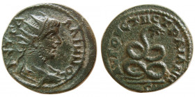 THRACE, Augusta Traiana. Gallienus. AD 253-268. Æ