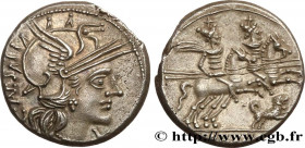 ANTESTIA
Type : Denier 
Date : 146 AC. 
Mint name / Town : Rome 
Metal : silver 
Millesimal fineness : 950  ‰
Diameter : 18  mm
Orientation dies : 1  ...