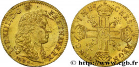 LOUIS XIV "THE SUN KING"
Type : Louis d'or juvénile tête nue 
Date : 1669 
Mint name / Town : Paris 
Metal : gold 
Millesimal fineness : 917  ‰
Diamet...
