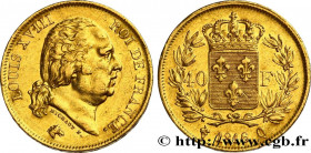 LOUIS XVIII
Type : 40 francs or Louis XVIII 
Date : 1816 
Mint name / Town : Perpignan 
Quantity minted : 10660 
Metal : gold 
Millesimal fineness : 9...