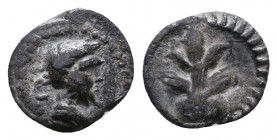 Kyrene, Kyrenaika, c. 308-277 BC. Ar Obol.

Weight: 0.5 gr
Diameter: 8 mm
