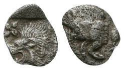 Kyzikos, Mysia. AR Obol, c. 450-400 BC.

Weight: 0.3 gr
Diameter: 9 mm