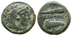 KINGS OF MACEDON. Alexander III 'the Great' (336-323 BC). Ae.

Weight: 6.4 gr
Diameter: 18 mm