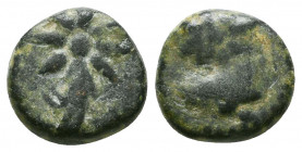 PONTOS. Uncertain. Ae (130-100 BC).

Weight: 2.4 gr
Diameter: 11 mm