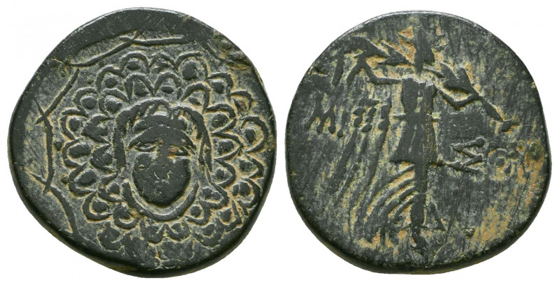 AMISOS. Pontos. 2nd-1st Century B.C.

Weight: 7.7 gr
Diameter: 21 mm