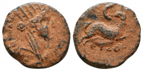 Syria, Seleucis and Pieria. Antiochia ad Orontem. Civic Issue. Time of Nero, A.D. 54-68. AE trichalkon.

Weight: 3.7 gr
Diameter: 17 mm