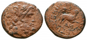 Syria, Seleukis and Pieria. Antiochia ad Orontem. Q. Caecilius Metellus Creticus Silanus. Legate, A.D. 11-17. AE.

Weight: 6.2 gr
Diameter: 20 mm