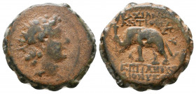 SELEUKID KINGS of SYRIA. Antiochos VI Dionysos. 144-142 BC. Serrate Æ. Antioch on the Orontes mint.

Weight: 7.1 gr
Diameter: 20 mm