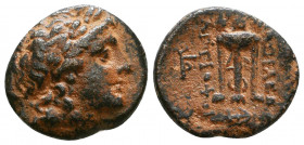 SELEUKID KINGDOM. Antiochos II Theos (261-246 BC). Ae.

Weight: 3.4 gr
Diameter: 17 mm