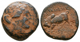 Seleukid Empire, Seleukos I Nikator Æ, circa 282-281 BC.

Weight: 8.0 gr
Diameter: 21 mm