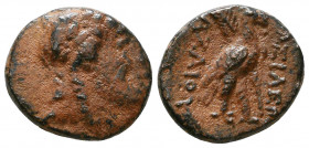 SELEUKID KINGDOM. Achaios (Usurper, 220-214 BC). Ae.

Weight: 4.5 gr
Diameter: 16 mm