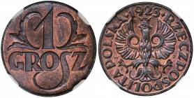 1 grosz 1923 - NGC MS66 RB Wyśmienity, wyselekcjonowany egzemplarz. Kolor czerwono-brązowy.&nbsp; Druga najwyższa nota w rejestrze NGC, jedynie trzy s...