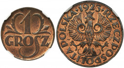 1 grosz 1923 - NGC MS65 RB Menniczy egzemplarz z pięknym połyskiem. Kolor czerwono-brązowy. 
Reference: Parchimowicz 101a
Grade: NGC MS65 RB 

The...