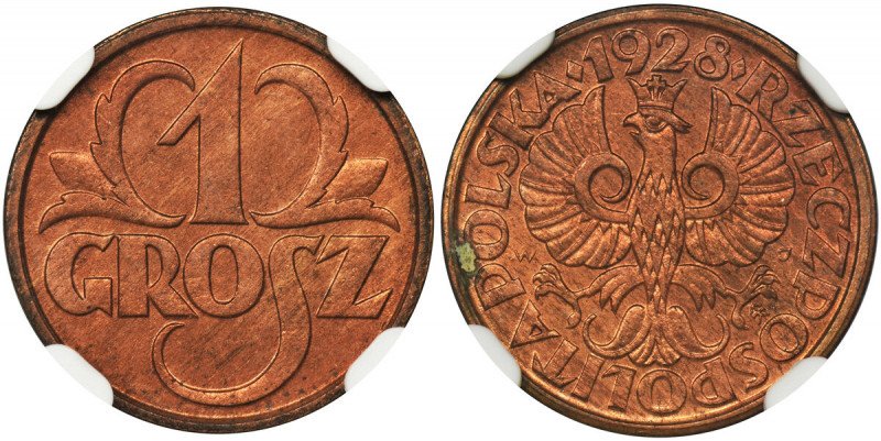 1 grosz 1928 - NGC MS65 RD Mennicza sztuka z doskonałym połyskiem. Poszukiwany i...