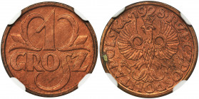 1 grosz 1928 - NGC MS65 RD Mennicza sztuka z doskonałym połyskiem. Poszukiwany i ceniony kolor czerwony.&nbsp; Druga najwyższa nota w rejestrze NGC.&n...