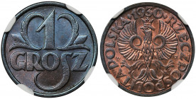 1 grosz 1930 - NGC MS66 RB Rzadki rocznik w odmianie kolorystycznej czerwono-brązowej. Wyśmienity, wyselekcjonowany egzemplarz z intensywnym, menniczy...