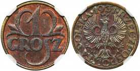 1 grosz 1931 - NGC MS66 BN Znakomity, menniczy egzemplarz. Kolor brązowy z dużą ilością czerwieni.&nbsp;
 Bardzo dobra prezencja, którą podkreśla moc...