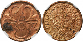 1 grosz 1934 - NGC MS63 RD - RZADKI Rzadki rocznik w bardzo rzadkim dla tego rocznika kolorze czerwonym. Zaledwie garstka monet widnieje w rejestrze N...