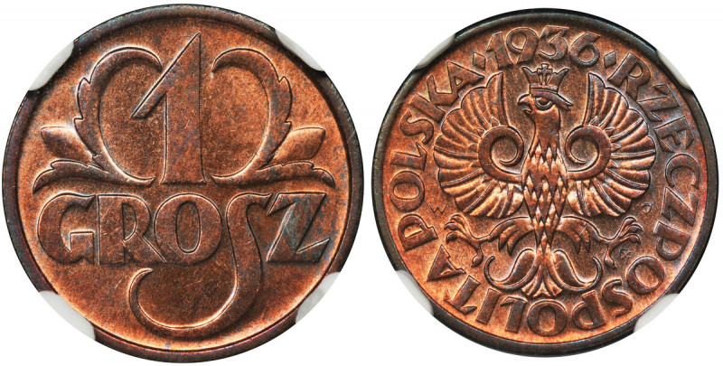 1 grosz 1936 - NGC MS64 RB Menniczy egzemplarz z połyskiem. Kolor czerwono-brązo...