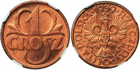 1 grosz 1939 - NGC MS67 RD Menniczy stan zachowania. Kolor czerwony. Najwyższa ocena w rejestrze NGC.
Reference: Parchimowcz 101n
Grade: NGC MS67 RD...