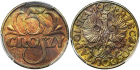 5 groszy 1931 - PCGS MS63 BN Menniczy egzemplarz z naturalnym połyskiem. Kolor brązowy.&nbsp; Reference: Parchimowicz 103e
Grade: PCGS MS63 BN 

Th...