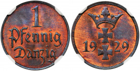 Free City of Danzig, 1 pfennig 1929 - NGC MS65 RB Znakomita mennicza sztuka w kolorze czerwono-brązowym. Druga najwyższa ocena w rejestrze NGC. Refere...