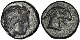 Greece, Aiolis, Aigai, AE9 Greece

Aiolis, Aigai, AE18 4-3 century BC

Obverse: Apollo head right

Reverse: goat head right
 Grecja Aiolis, Aig...
