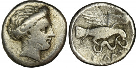 Greece, Euboia, Chalkis, Drachm Greece Euboia, Chalkis, Drachm 338-308 BC Obverse: head of nymph Chalkis right Reverse: eagle in flight to the right, ...